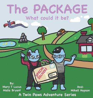 bokomslag Package