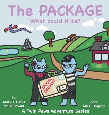 bokomslag The Package