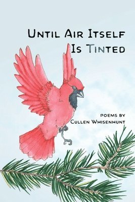 Cullen Whisenhunt - Until Air Itself Is Tinted, Häftad