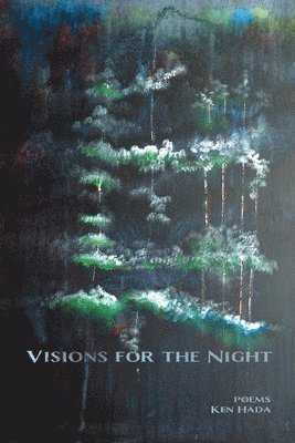 bokomslag Visions for the Night