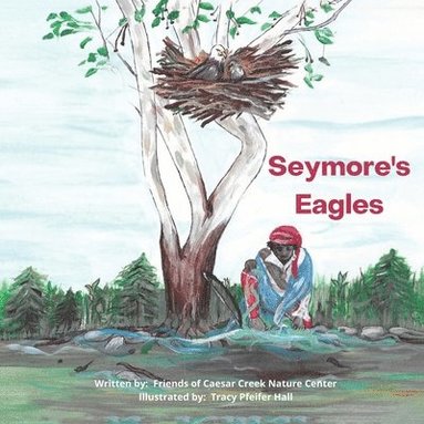 bokomslag Seymore's Eagles