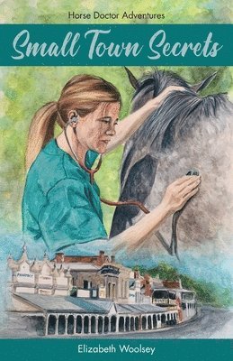 Small Town Secrets Horse Doctor Adventures 1