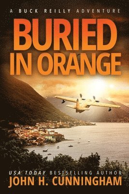 bokomslag Buried in Orange