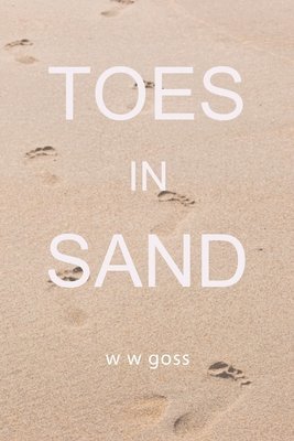 bokomslag Toes in Sand