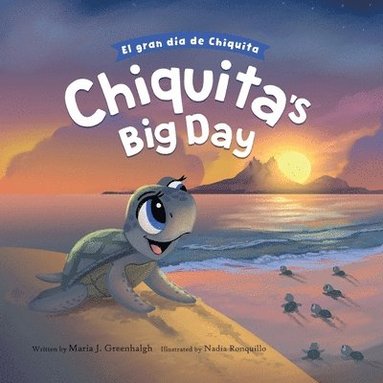 Jennifer J Stewart, Natalia Sepulveda - Chiquita's Big Day, Häftad