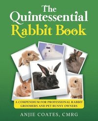 bokomslag The Quintessential Rabbit Book