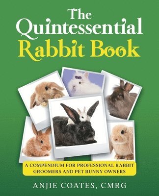 The Quintessential Rabbit Book 1