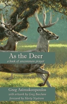 As the Deer 1