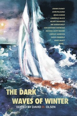 Michael Scott Moore, Nik Xandir Wolf, David M Olsen, David M. Olsen - Dark Waves of Winter, Häftad