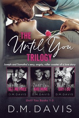 bokomslag Until You Trilogy (Until You Books 1-3)