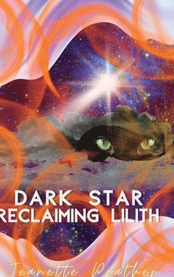 bokomslag Dark Star