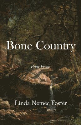 bokomslag Bone Country