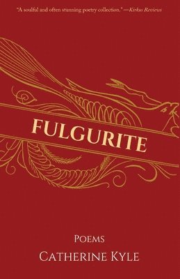 Fulgurite 1