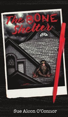 bokomslag Bone Shelter