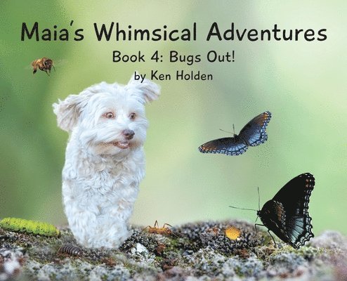 Maia's Whimsical Adventures 1