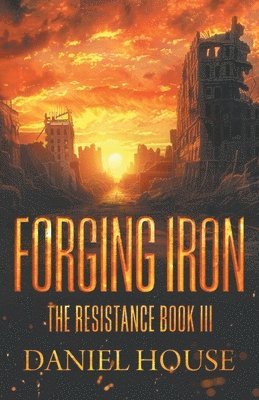 bokomslag Forging Iron