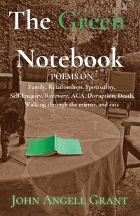 bokomslag The Green Notebook