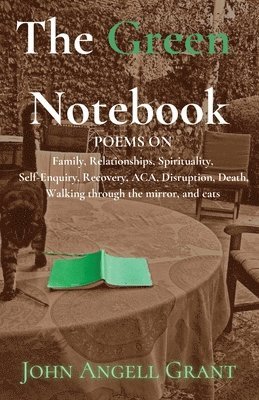 bokomslag The Green Notebook