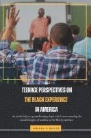 bokomslag Teenage Perspectives On The Black Experience In America