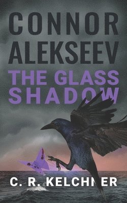 bokomslag The Glass Shadow