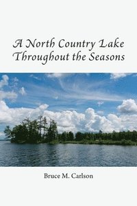 bokomslag A North Country Lake Throughout the Seasons
