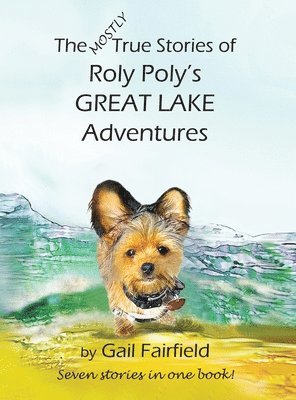 bokomslag Mostly True Stories of Roly Poly's Great Lake Adventures