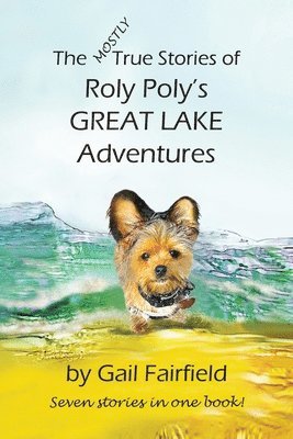 bokomslag MOSTLY True Stories of Roly Poly's Great Lake Adventures