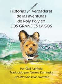 bokomslag Historias casi siempre verdaderas de las aventuras de Roly Poly en Los Grandes Lagos