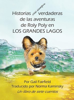 Historias casi siempre verdaderas de las aventuras de Roly Poly en Los Grandes Lagos 1