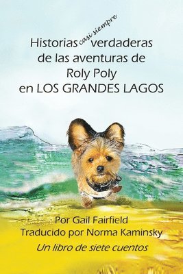 bokomslag Historias casi siempre verdaderas de las aventuras de Roly Poly en Los Grande Lagos