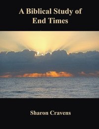 bokomslag A Biblical Study of End Times