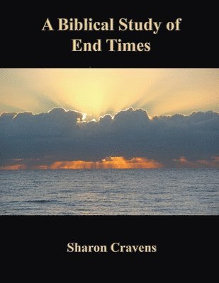 bokomslag Biblical Study of End Times