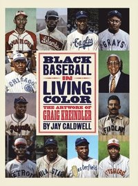 bokomslag Black Baseball In Living Color
