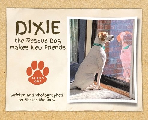 Dixie the Rescue Dog Makes New Friends 1