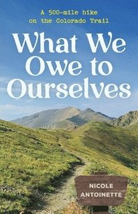 bokomslag What We Owe to Ourselves