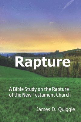 bokomslag Rapture