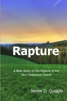 bokomslag Rapture