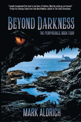bokomslag Beyond Darkness