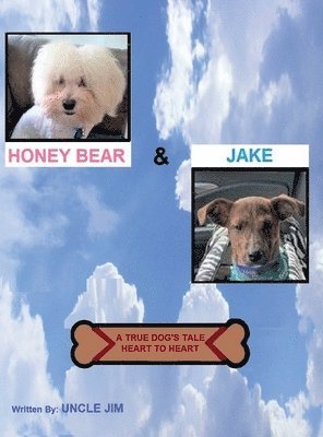 bokomslag Honey Bear & Jake: A Dog's Tale