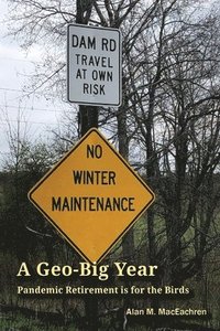 bokomslag Geo-Big Year