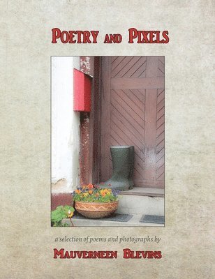 bokomslag Poetry And Pixels