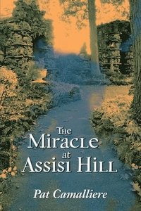 bokomslag Miracle at Assisi Hill