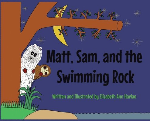 Matt, Sam, and the Swimming Rock 1