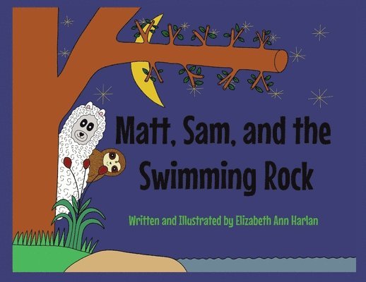 Matt, Sam, and the Swimming Rock 1