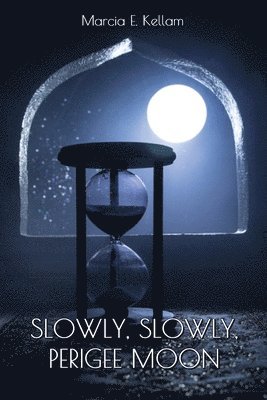 bokomslag Slowly, Slowly, Perigee Moon