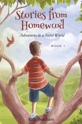 Rick Burcham - Stories from Homewood, Häftad