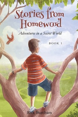 Stories from Homewood Book 1