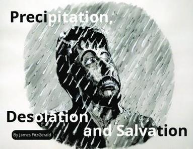 bokomslag Precipitation, Desolation and Salvation