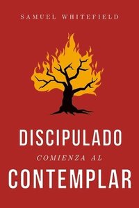 bokomslag Discipulado Comienza al Contemplar