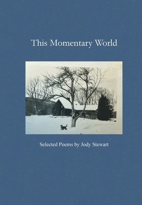 This Momentary World 1